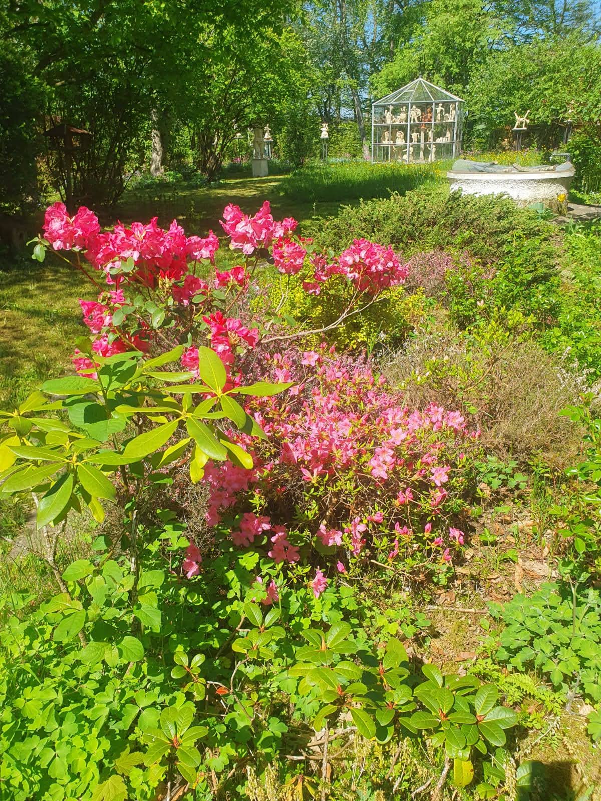Museumsgarten